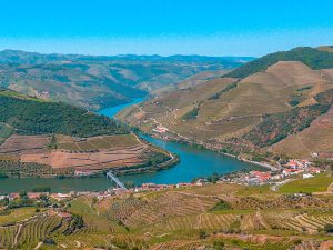Alijó